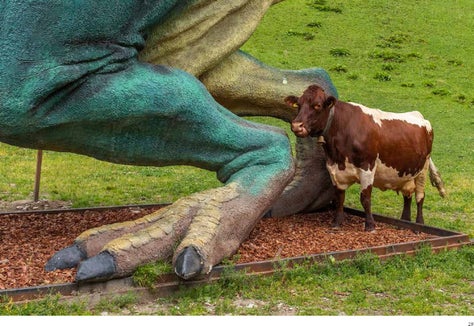Dieses Foto ist Teil der Sonderausstellung im Naturparkhaus Drei Zinnen Die Welt ist nicht genug. (Foto: Fabian Haspinger)