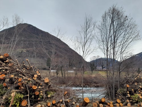 Regelmäßige Uferpflege gehört zum Hochwasserschutz: Das Bild entstand am 7. Jänner am rechten Ufer der Talfer oberhalb der Talferbrücke. (Foto: LPA/Maja Clara)