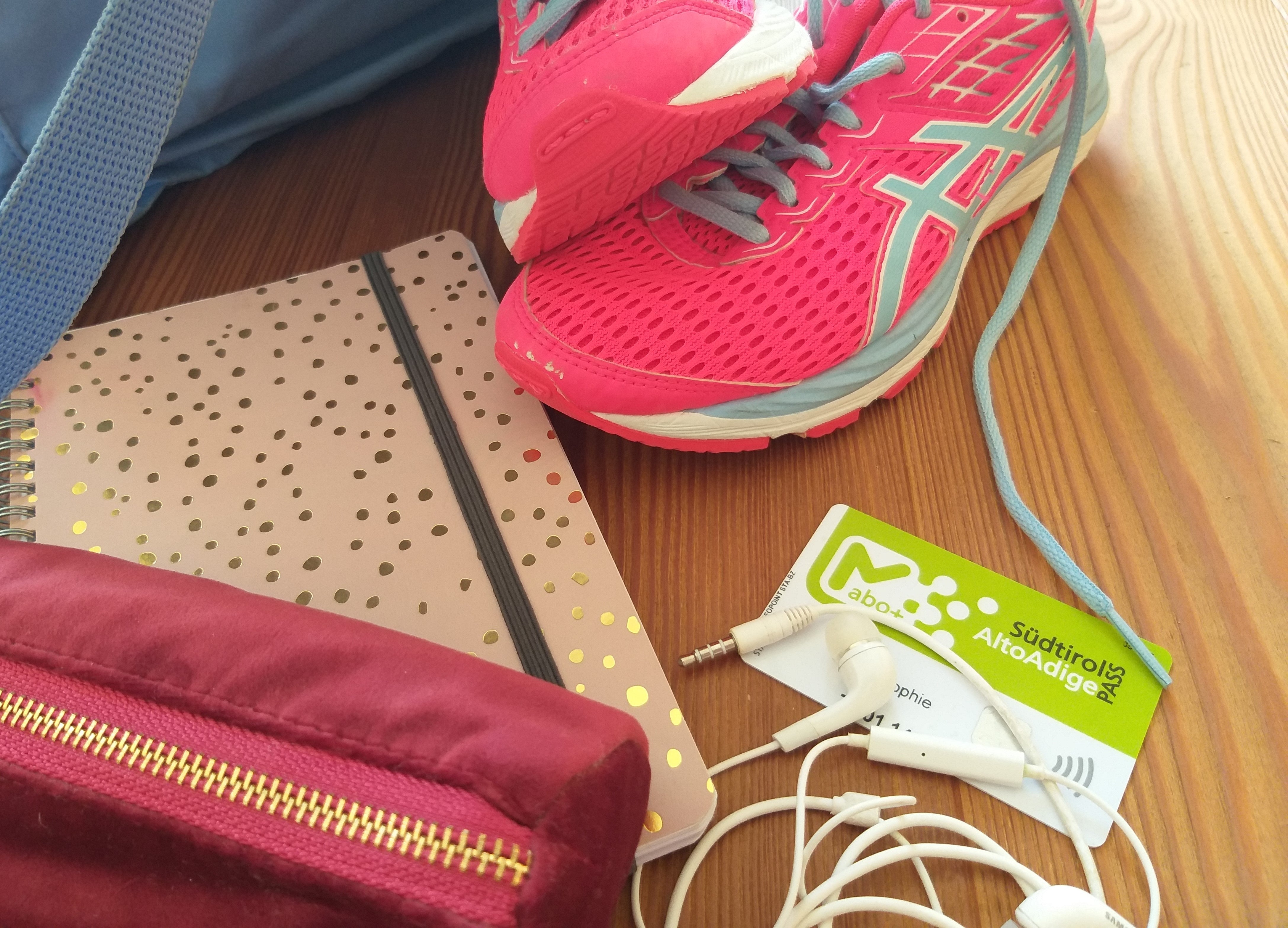 C’è tempo fino al 15 settembre per rinnovare o richiedere l’abo+ per bambini e ragazzi, come ricorda alle famiglie altoatesine l’assessore provinciale alla Mobilità Daniel Alfreider: “È importante che i bambini e i ragazzi possano utilizzare i mezzi di trasporto pubblico per recarsi a scuola e a casa”, (Foto: USP/Angelika Schrott)