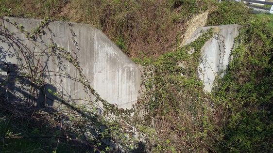 Diese Rückhaltesperre unterhalb der zerstörten und wieder zu errichtenden Sperren im Steineggerbach bleibt bestehen. (Foto: LPA/Amt für Wildbachverbauung Süd)
