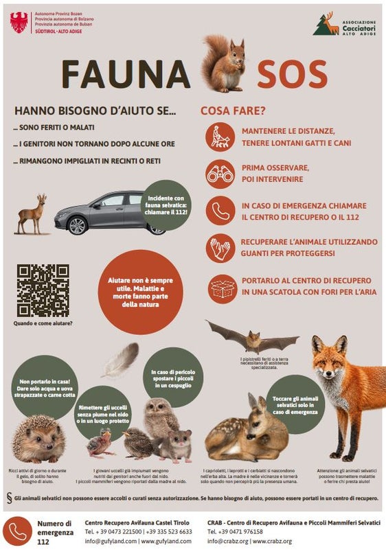L’Ufficio provinciale Gestione fauna selvatica, facente parte della Ripartizione provinciale Servizio forestale, e l’Associazione Cacciatori Alto Adige hanno elaborato congiuntamente la campagna "Fauna SOS – Quando aiutare e quando no?" (Fonte: Ufficio Gestione fauna selvatica)