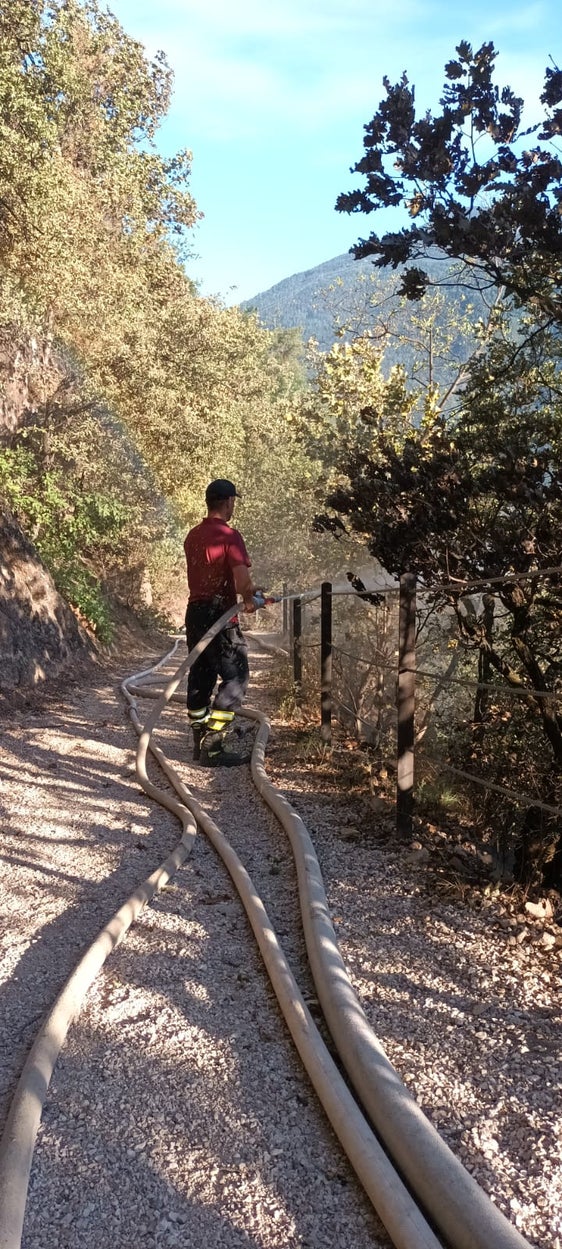I Vigili del Fuoco hanno spento ieri gli ultimi focolai sul Monte Tondo, ma la situazione viene ancora monitorata (Foto: Vigili del Fuoco del Corpo permanente di Bolzano)