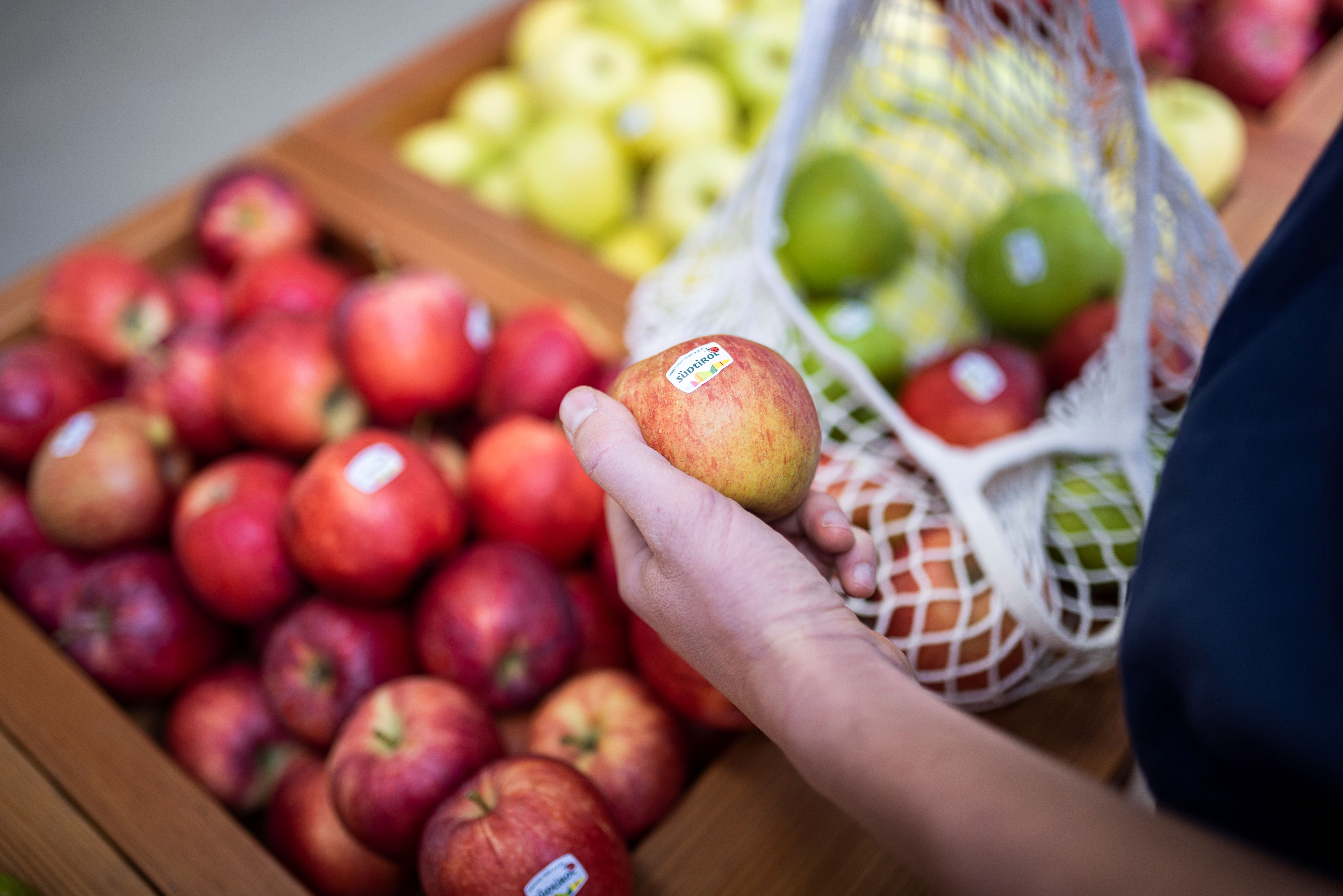 La Giunta oggi (3 dicembre) su proposta del vicepresidente e assessore allo Sviluppo economico Marco Galateo, ha apportato alcune modifiche al regolamento per l’utilizzo del nuovo marchio “Alto Adige” o “Südtirol”. (Foto: IDM/Armin Huber). 