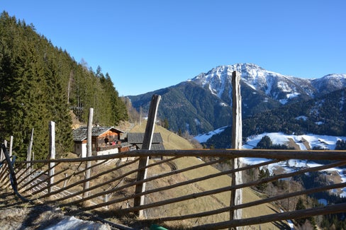 La valorizzazione del paesaggio tradizionale è un ambito di grande importanza in Alto Adige: ora la procedura di assegnazione dei contributi verrà completamente digitalizzata. (Foto: ASP/Marcella Morandini)