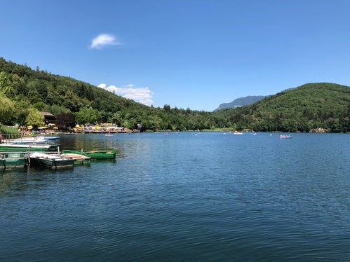 Rafforzare l'equilibrio ecologico dei laghi e mantenerli balneabili è l'obiettivo del monitoraggio effettuato dell'Agenzia provinciale per l'ambiente e la tutela del clima. L'immagine mostra il Lago grande di Monticolo.  (Foto: ASP/Laboratorio Biologico)