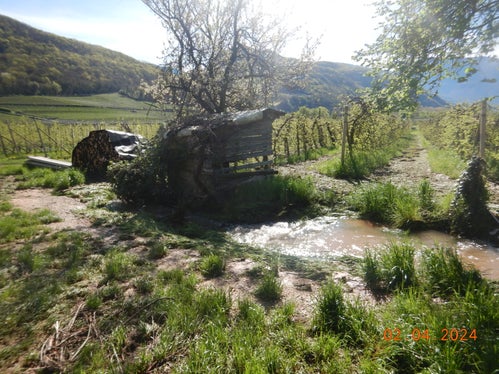 Die Bannstreifen an den Bächen und Flüssen sind frei zu halten. Im Bild wird dieser Grundsatz nicht eingehalten. (Foto: LPA/Landesamt für Öffentliches Wassergut in der Agentur für Bevölkerungsschutz)