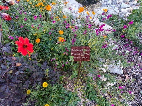Nel giardino crescono erbe aromatiche autoctone e piante provenienti da paesi lontani. (Foto: USP/Ursula Pirchstaller)