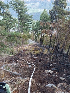 Nach etwas mehr als einer Stunde konnte der Brand unter Kontrolle gebracht werden. (Foto: LPA/Forstinspektorat Schlanders)