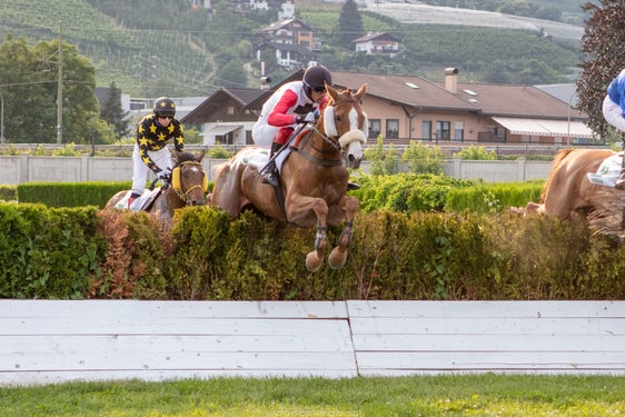 Per il rilancio dell'ippodromo di Maia è previsto un piano d'investimento complessivo di circa 21 milioni di euro. (Foto: Merano Galoppo)