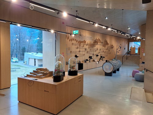 Auf insgesamt 600 Quadratmetern unter dem Motto Dem Wasser entgegen erzählt die Dauerausstellung viel Wissenswertes über die verschiedenen Höhenstufen des Naturparks Texelgruppe. (Foto: LPA/Hans Peter Santer)