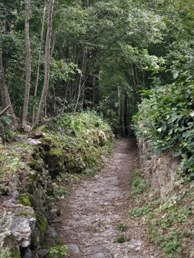 All'interno delle aree protette, la corretta manutenzione delle strade di accesso e dei sentieri viene promossa anche nell'ambito dei contributi per la conservazione del paesaggio. (Foto: ASP)