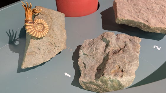 270 Millionen Jahre Erdgeschichte werden im GEOPARC Bletterbach greifbar: Zur Führung des Besucherzentrums haben Land Südtirol, Gemeinde Aldein und Sonderbetrieb GEOPARC Bletterbach eine Vereinbarung geschlossen. (Foto: LPA/Vera Brunetti)