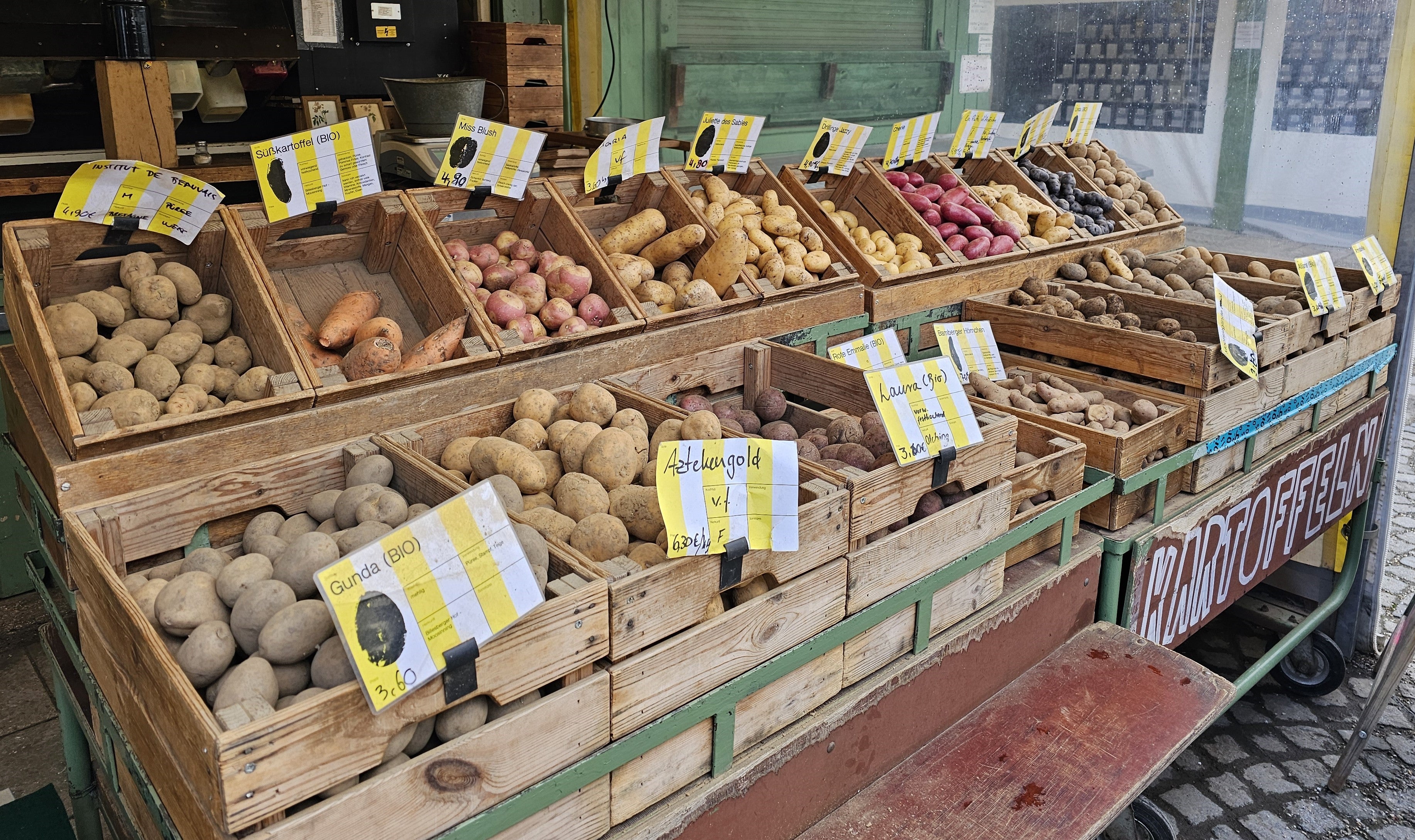 Sono necessari sementi d'alta qualità per poter produrre patate d'alta qualità. A tal fine sono state previste nuove sovvenzioni. (Foto: ASP/Ulrike Huber)