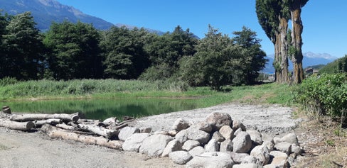 La Provincia ha acquistato il biotopo, costituito da bosco golenale e canneto e dotato di una superficie di 7575 metri quadrati, dall'Ordine delle Dame Inglesi due anni fa, nel 2020 (Foto: ASP/Ufficio natura/Valentin Schroffenegger)