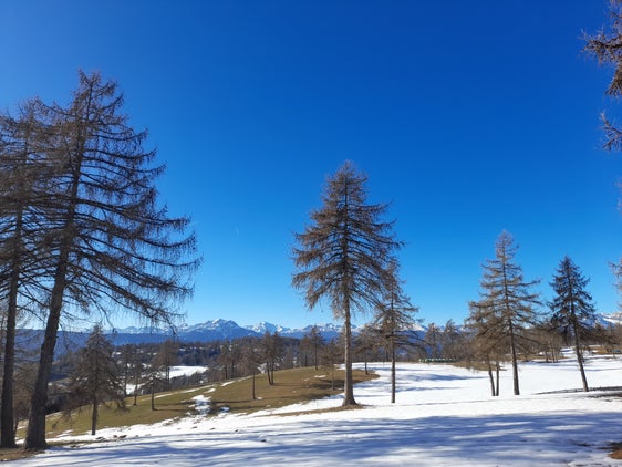 Il mese di gennaio è stato caratterizzato da un meteo mite e secco (Foto: ASP/Maja Clara)