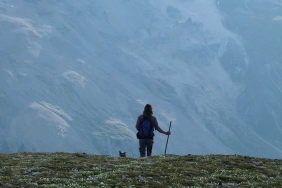 Grünes Licht für die Einführung der Beruflichen Qualifikation "Hirte/Hirtin" und deren Aufnahme in das Landesverzeichnis der beruflichen und schulischen Abschlüsse. (Foto: Johanna Platzgummer)