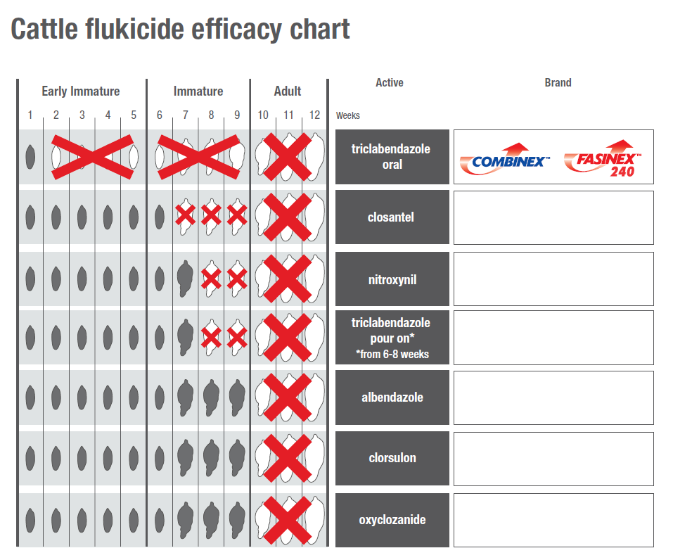 cattle-fluke-efficacy-chart
