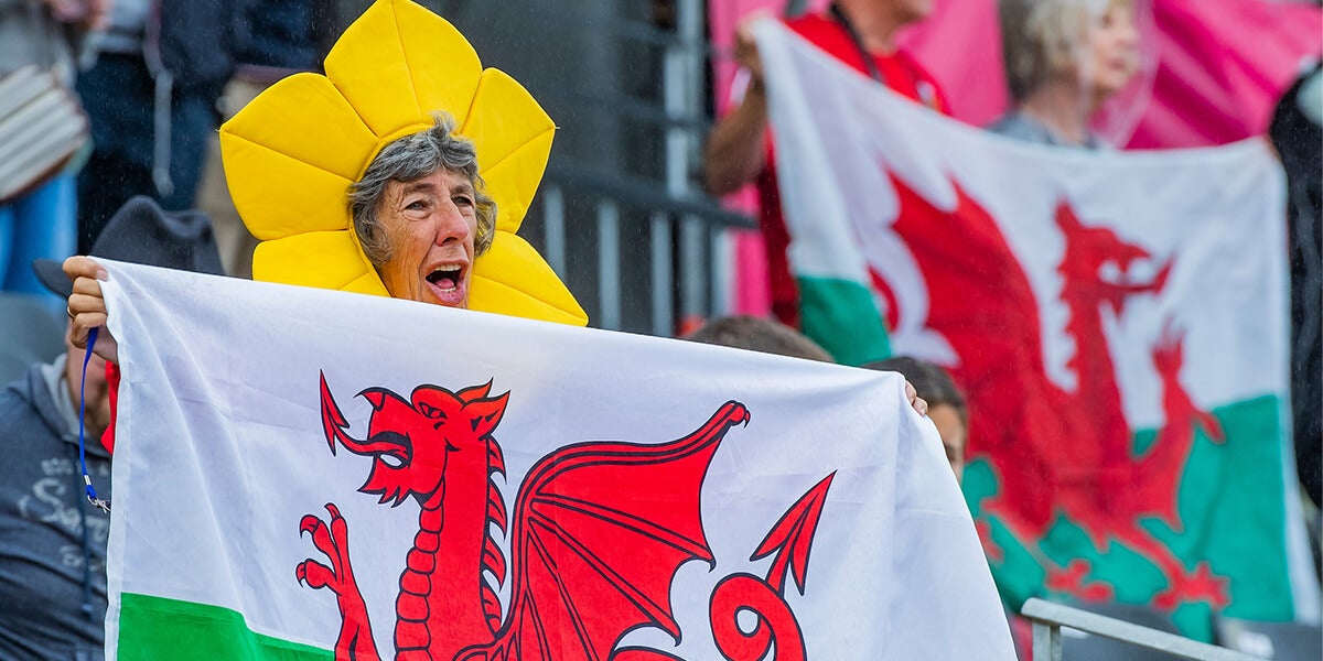 Wales fan at hockey match