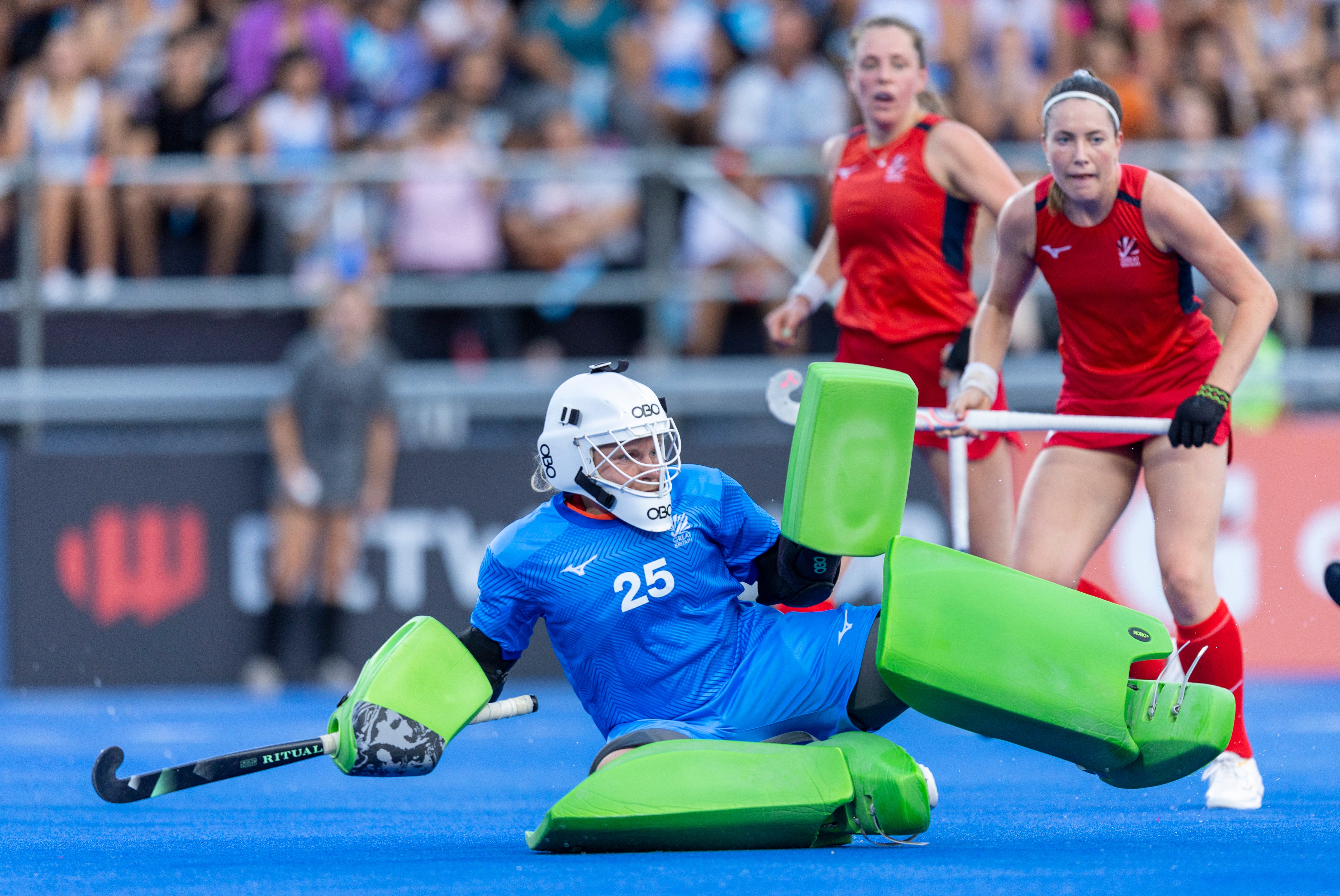RJR31751 - Great Britain: Sabbie Heesh: Life between the posts - “Knowing trees, I understand the meaning of patience. Knowing grass, I can appreciate persistence.” – Hal Borland.