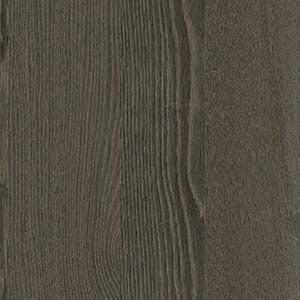 picture alternative text