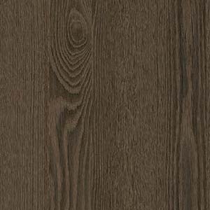 picture alternative text