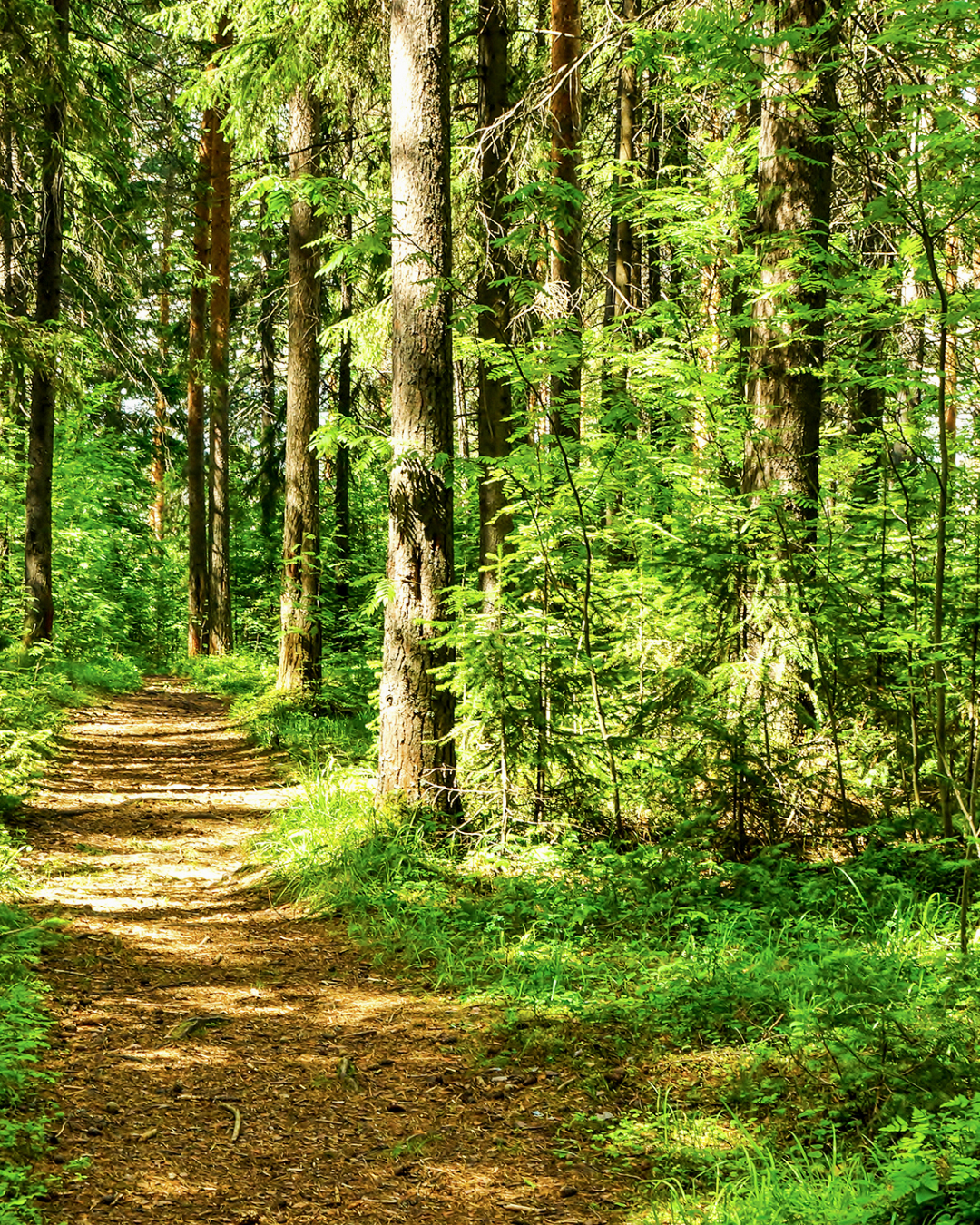 Decospan - protecting ecosystems