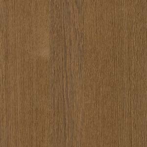 picture alternative text