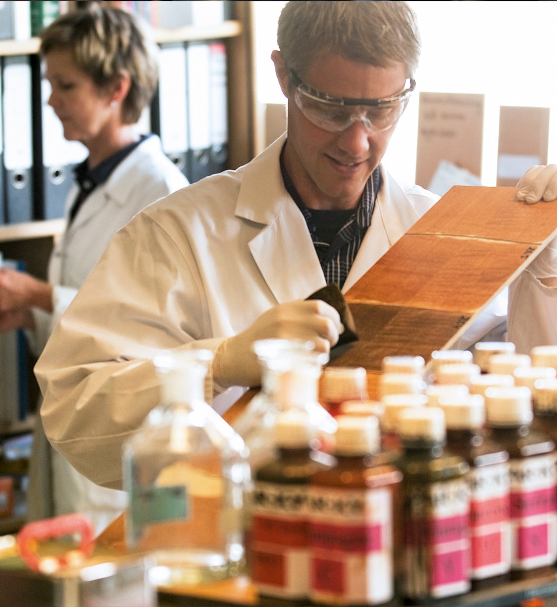 picture alternative text