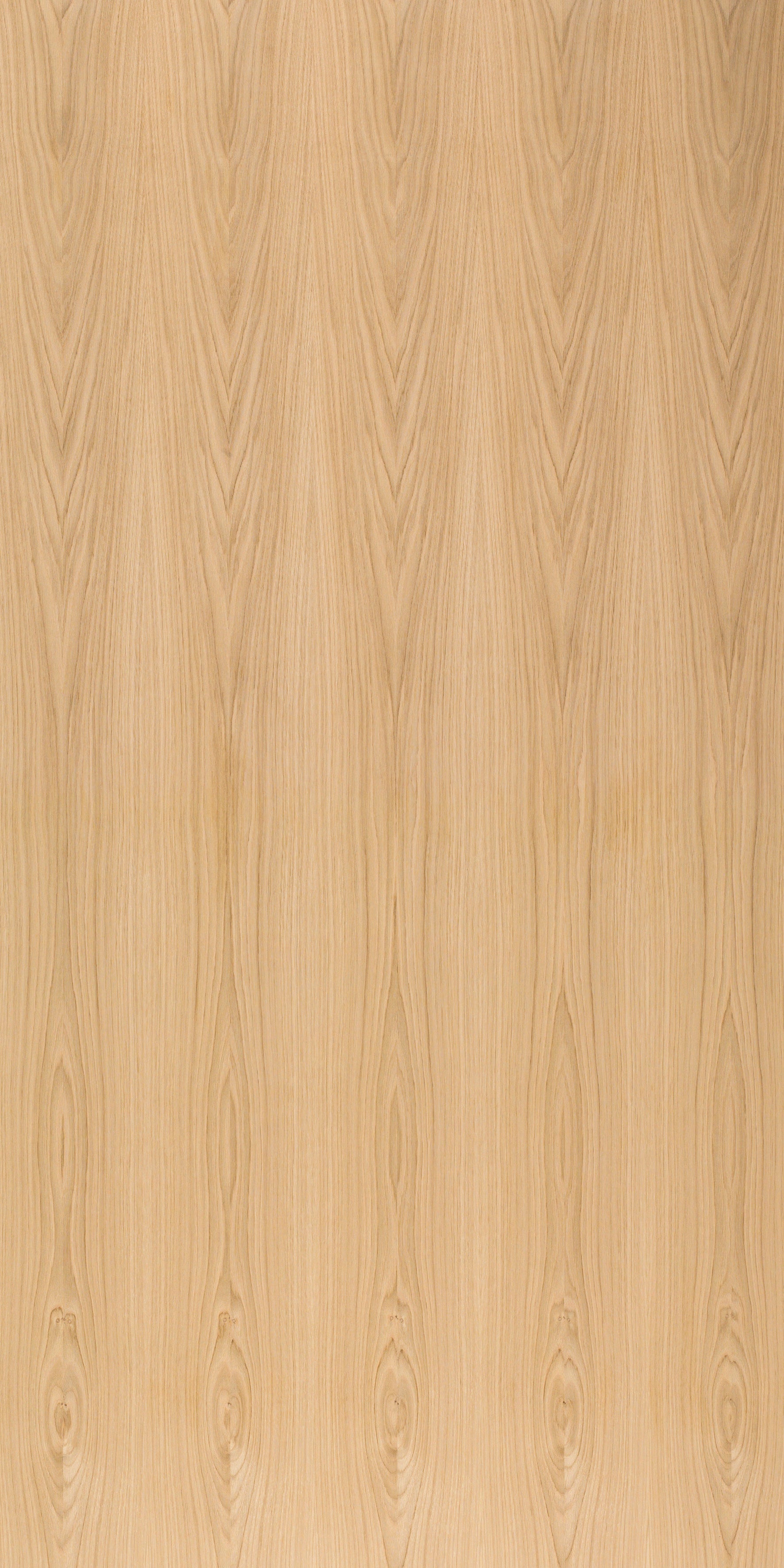 picture alternative text