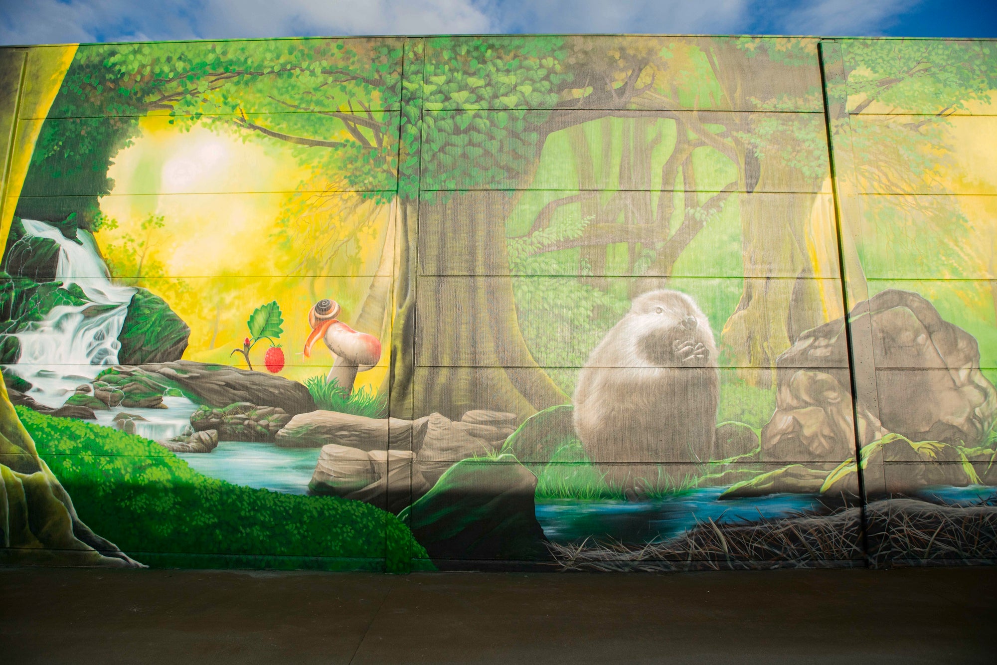 wall painting - wall painting nature