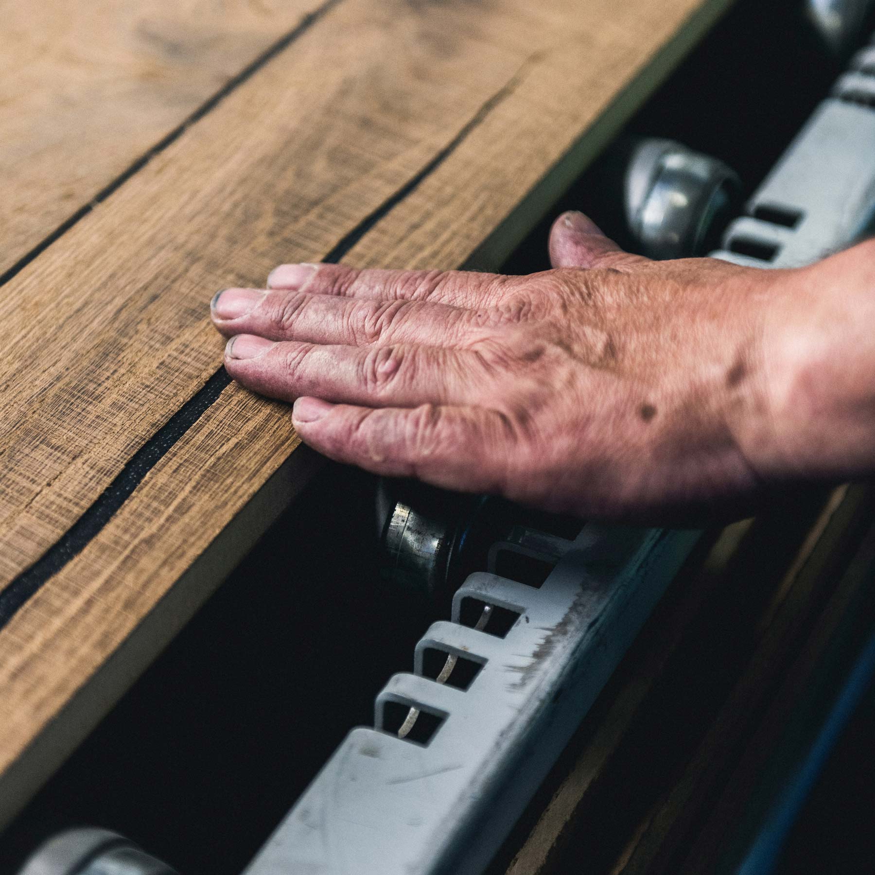 picture alternative text