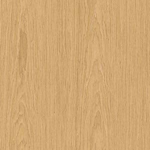 picture alternative text