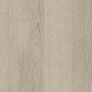 picture alternative text