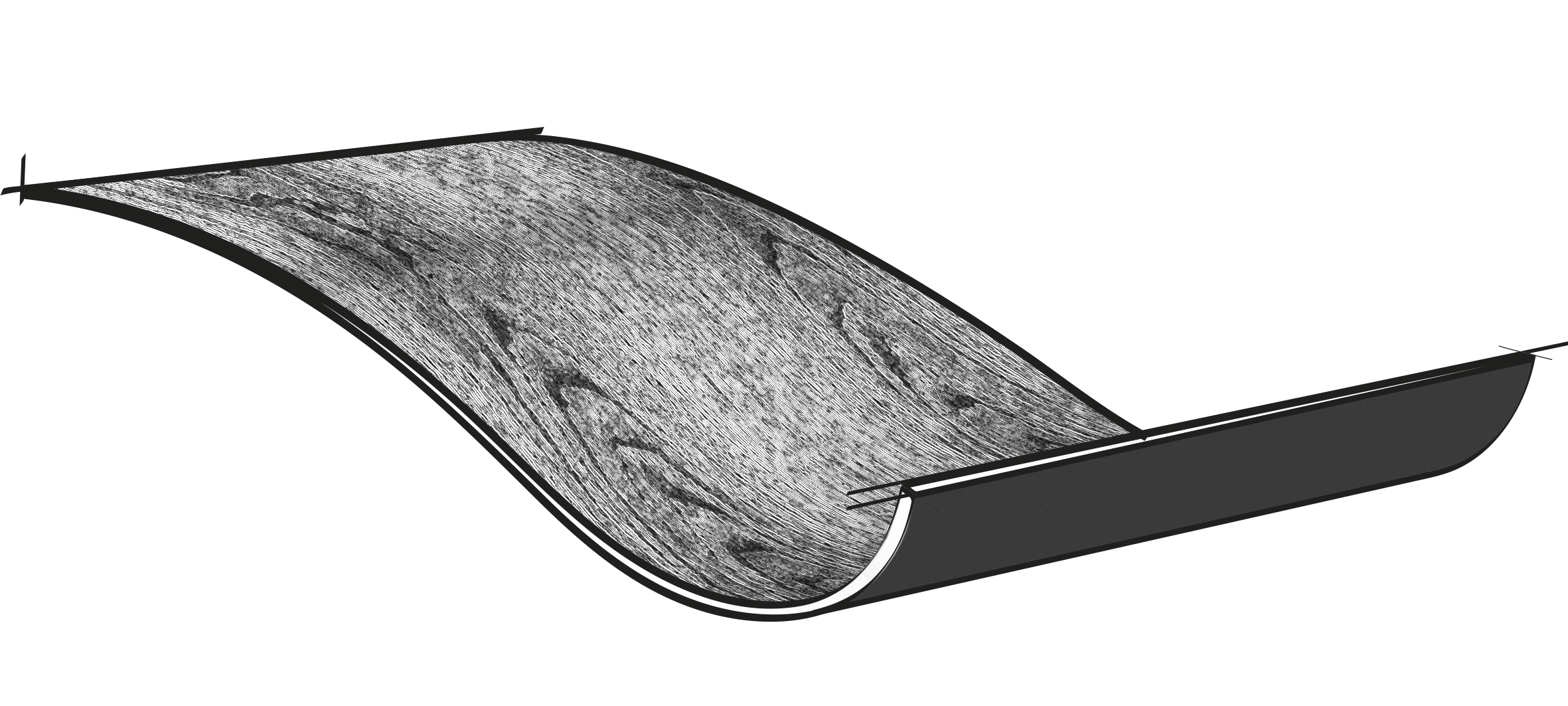 picture alternative text