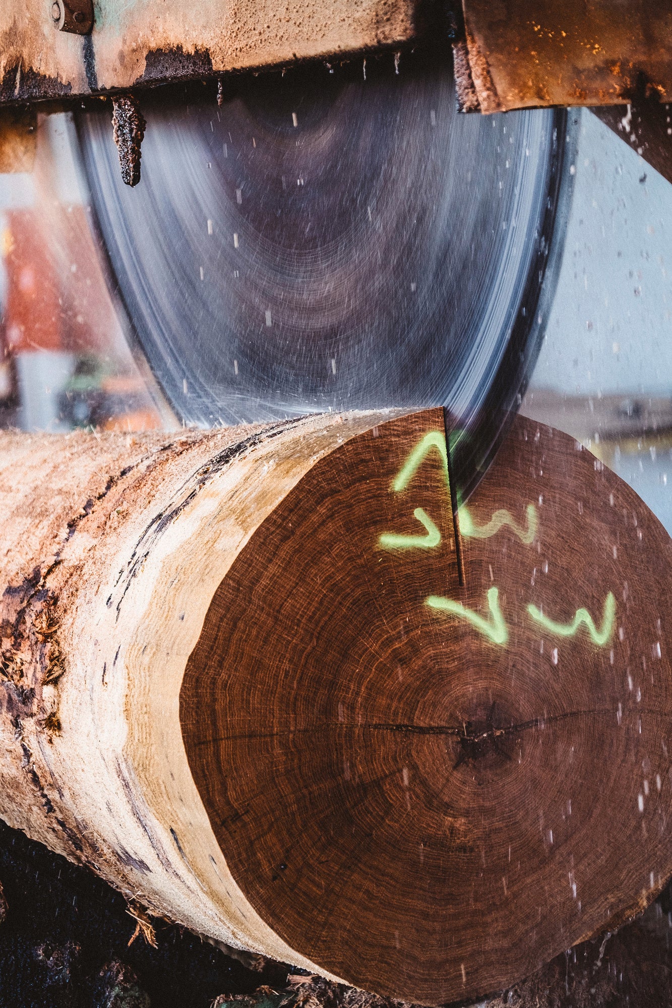 wood cutting - cut wood