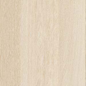 picture alternative text