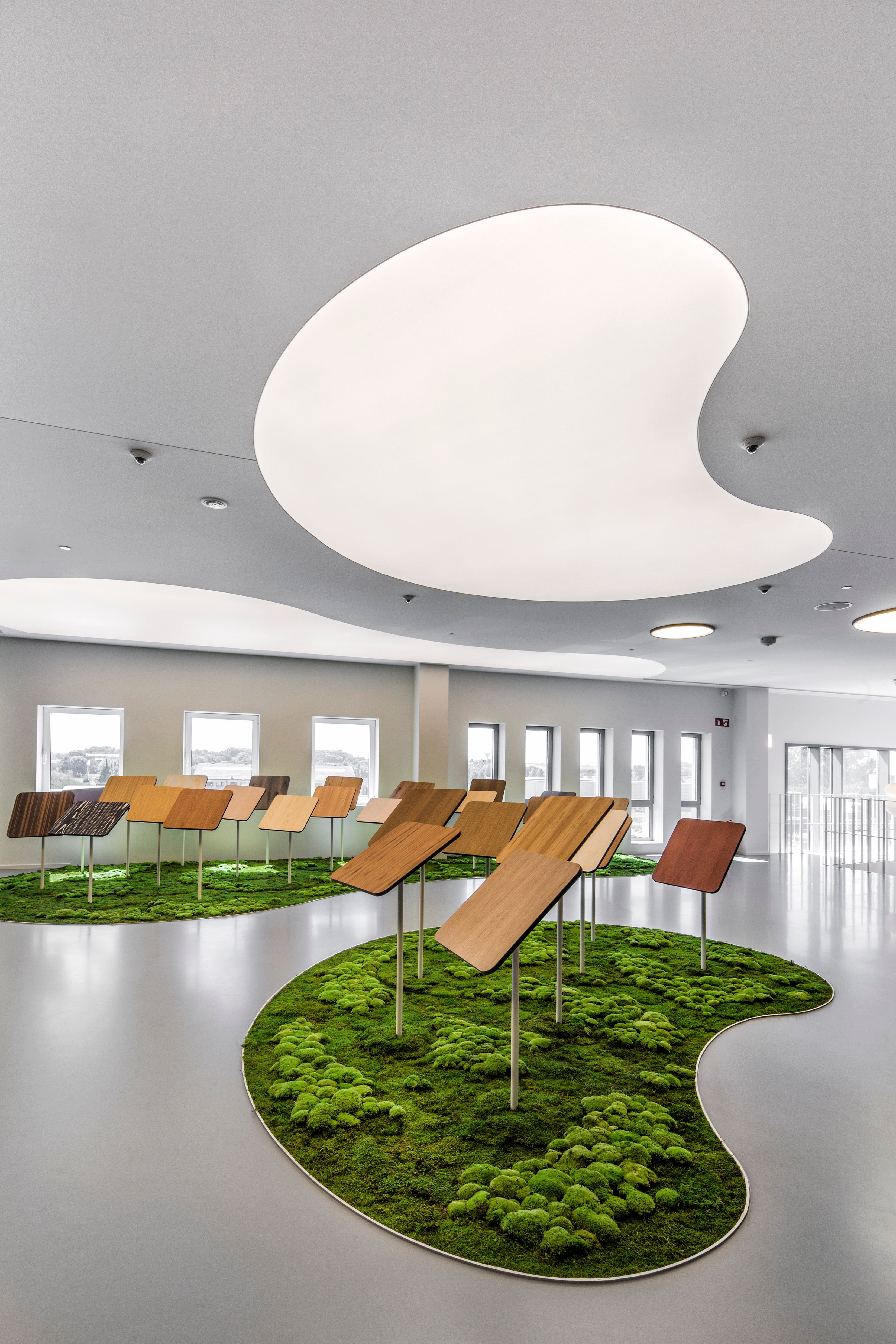 picture alternative text