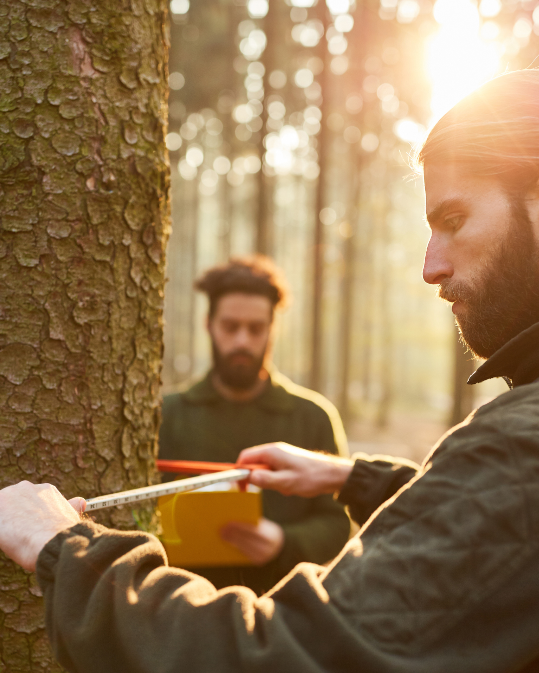 picture alternative text