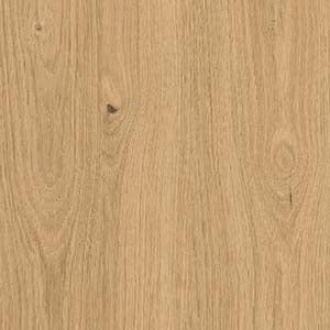 picture alternative text