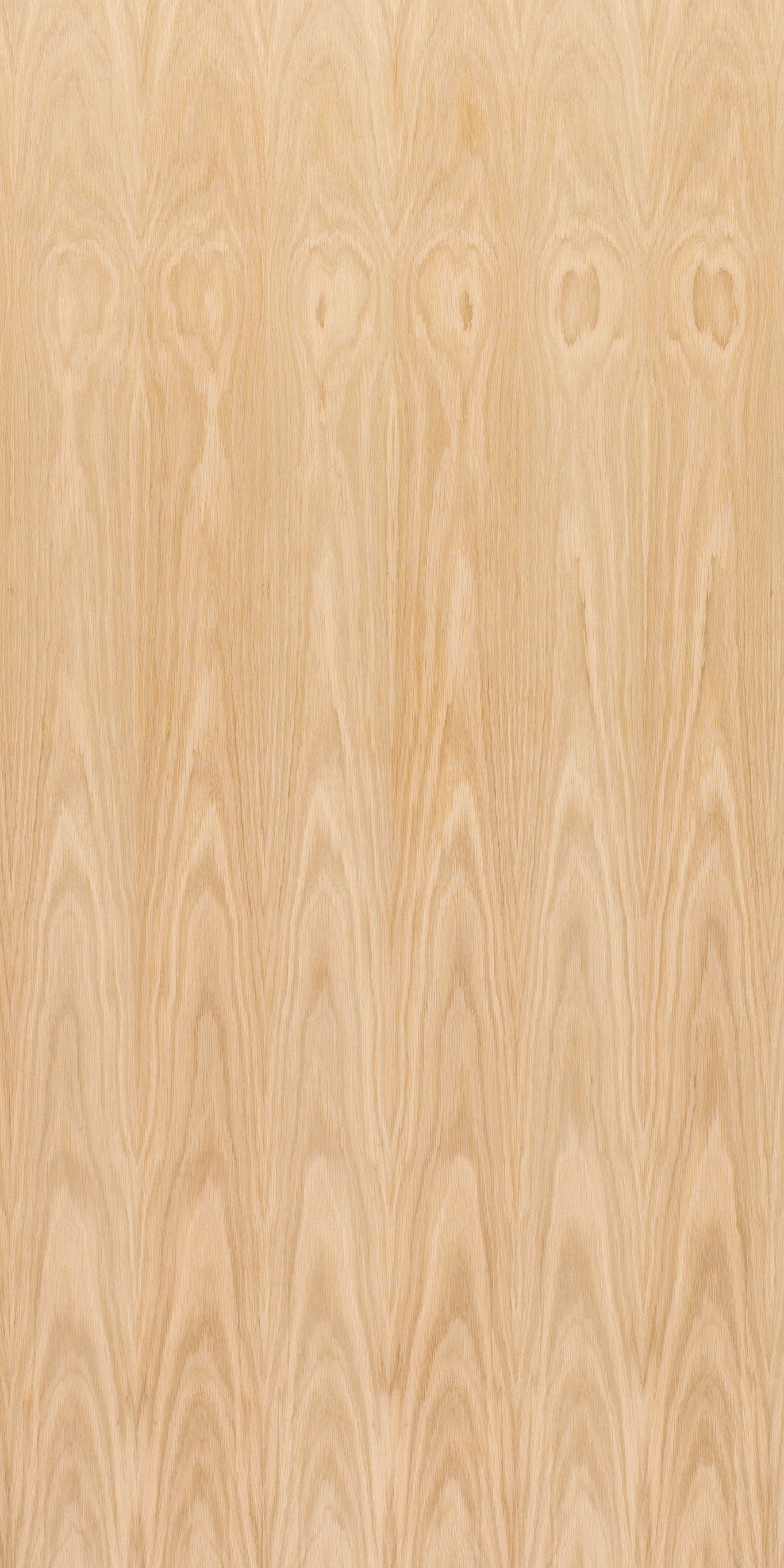 picture alternative text