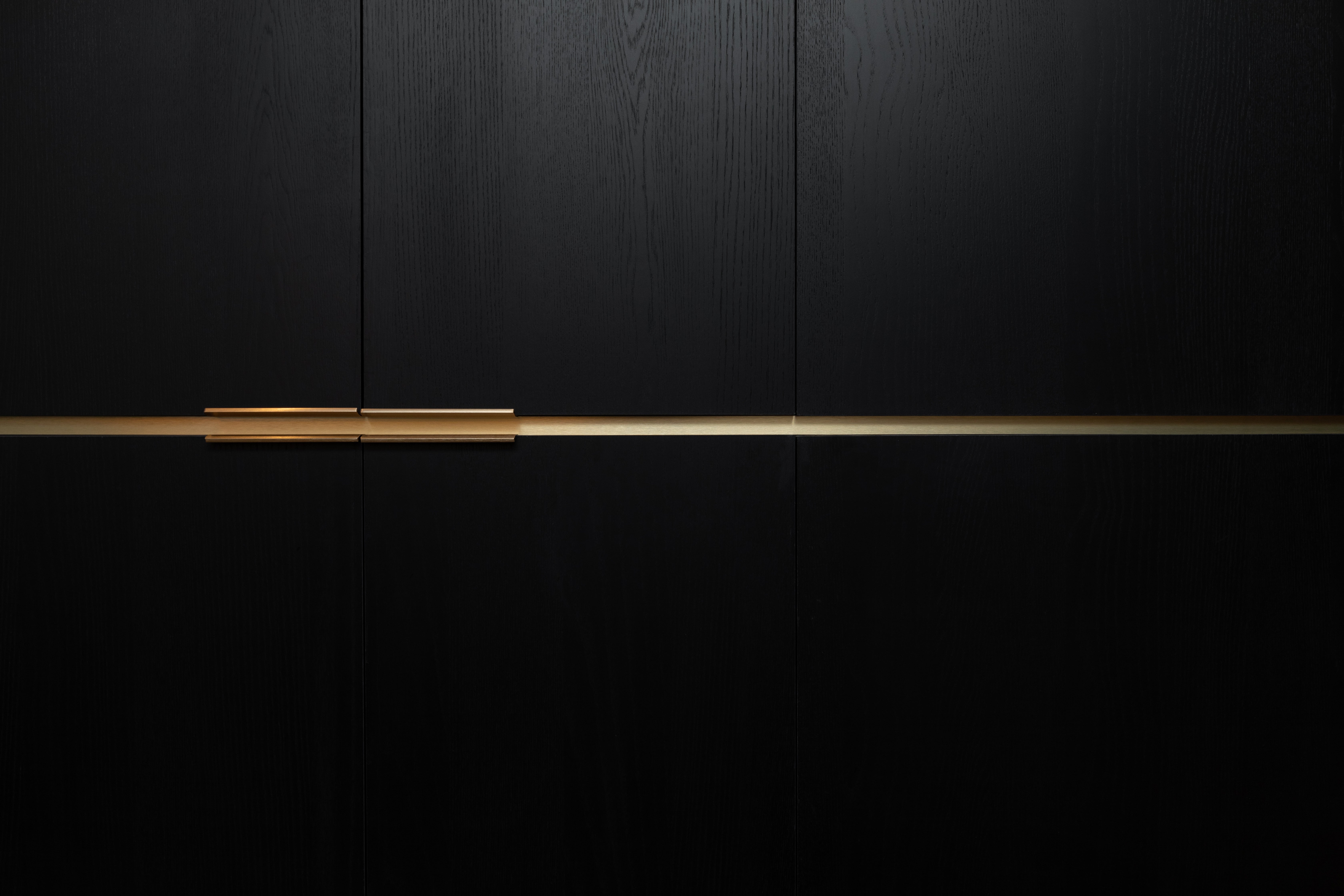 Dark raven - raven oak - black oak - ravne black Shinnoki - wooden closet - office - dark office closet 