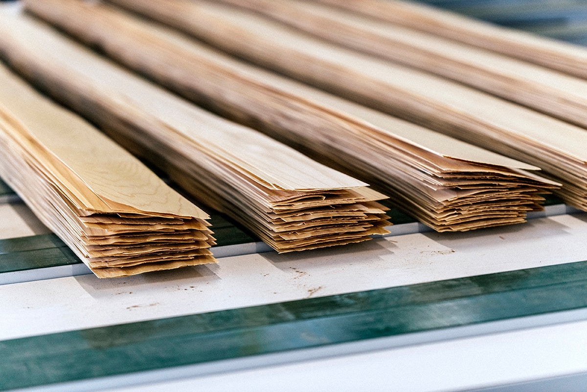 picture alternative text