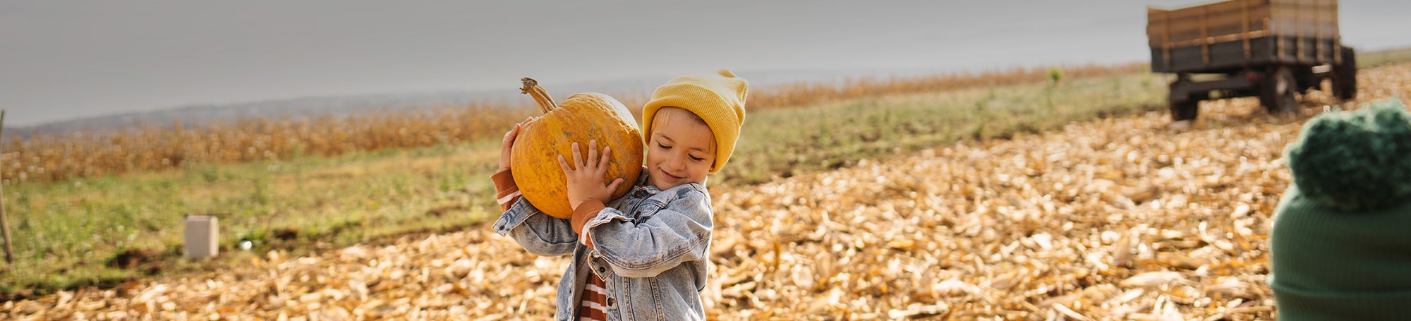 Erntedank - Junge trägt Kürbis am Feld und freut sich