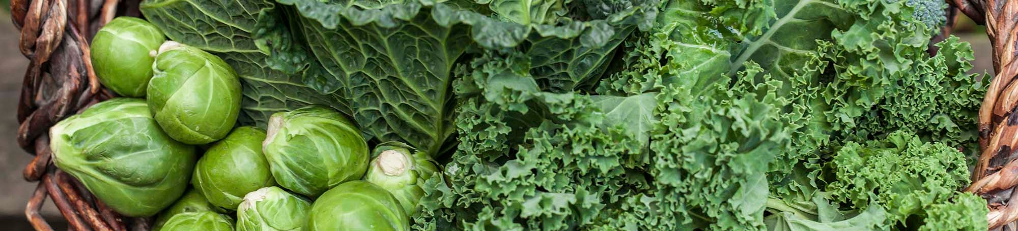 Kohlsprossen und Grünkohl in einem Holzkorb