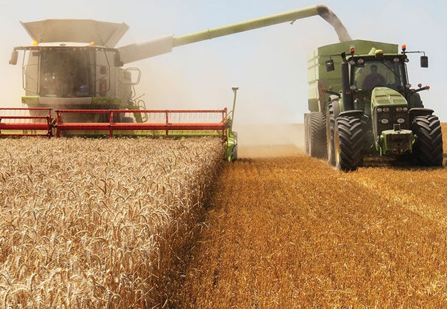 Combine harvester transferring wheat to a trailer towed by a tractor in a vast golden wheat field under a clear sky
