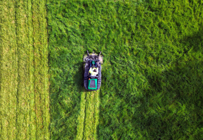Green lawn mower cutting grass