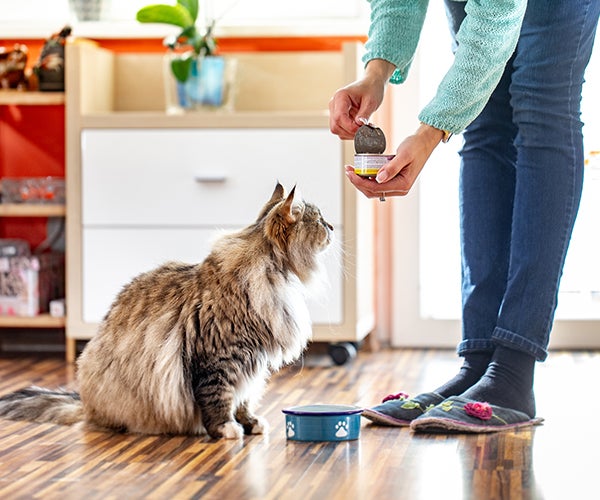 Woman filling cat bowl with food from tin whilst cat waits