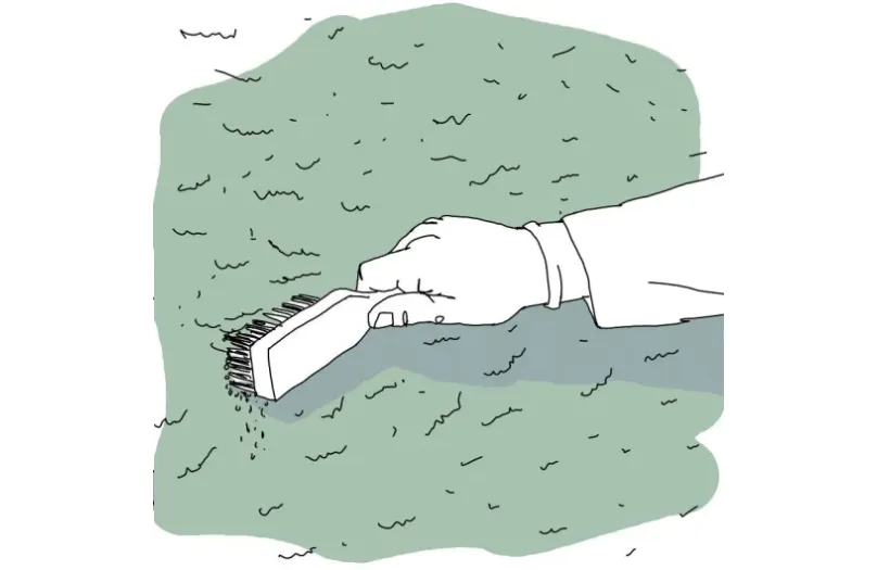 Torrborsta putsfasad Alcro färg