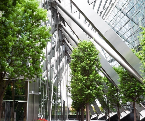 Trees in a building with glass walls