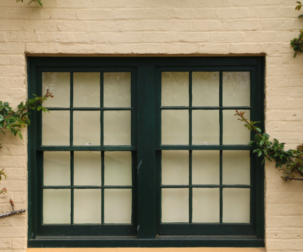 Black window frame in cream brickwork with green plants on the left and right